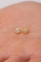 Heliophilia Silver Pendientes de Plata Esterlina 925 Dorado